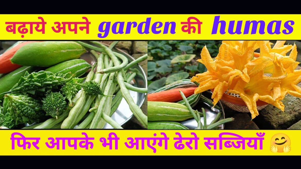 Maximize Your Garden Harvest: Grow More Vegetables make own humas Maximize Your Garden Harvest: Grow More Vegetables make own humas