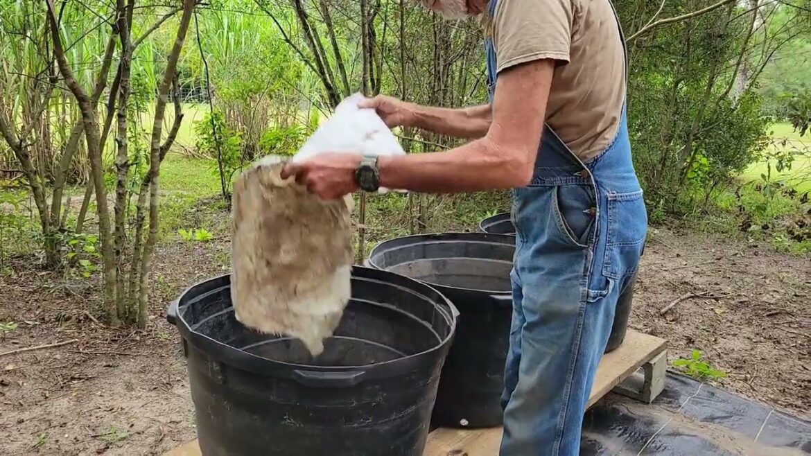 Creating New CONTAINER Garden