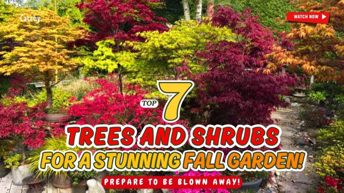 π 7 BEST TREES & SHRUBS FOR A STUNNING FALL GARDEN! ππ³π // GArdening Ideas π 7 BEST TREES & SHRUBS FOR A STUNNING FALL GARDEN! ππ³π // GArdening Ideas