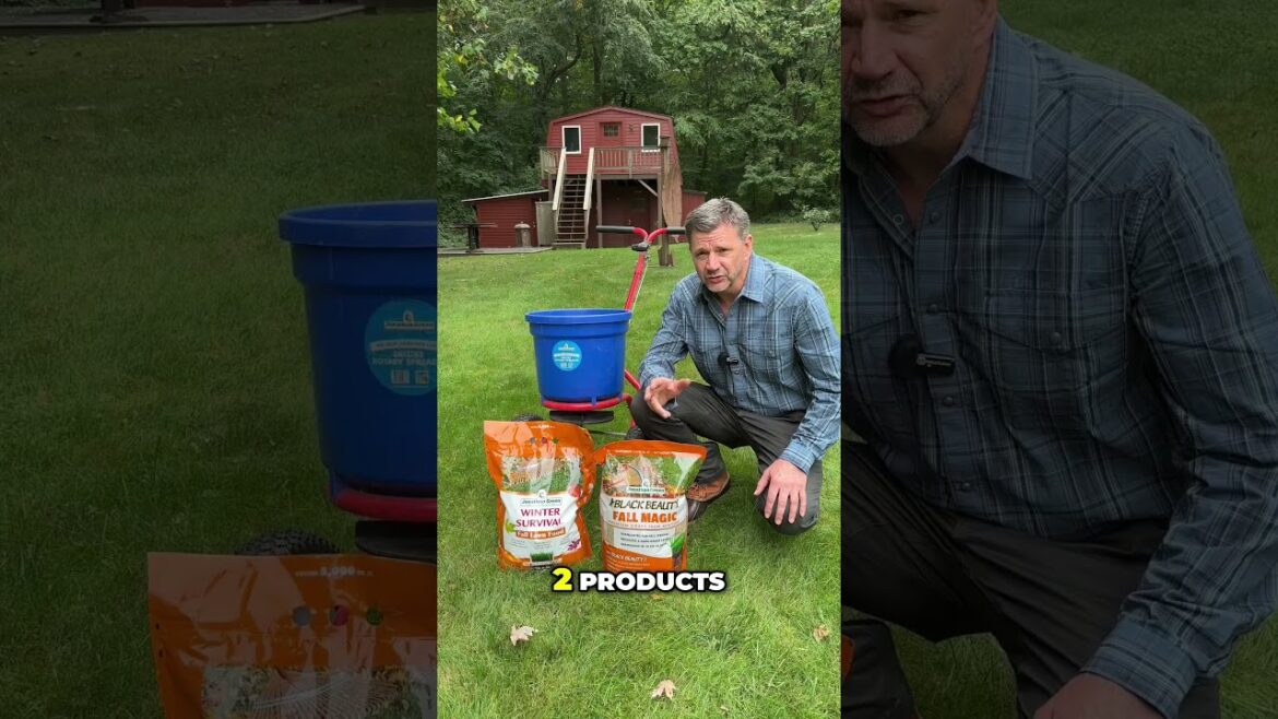 Fall is the Best time to Seed Your Lawn Fall is the Best time to Seed Your Lawn