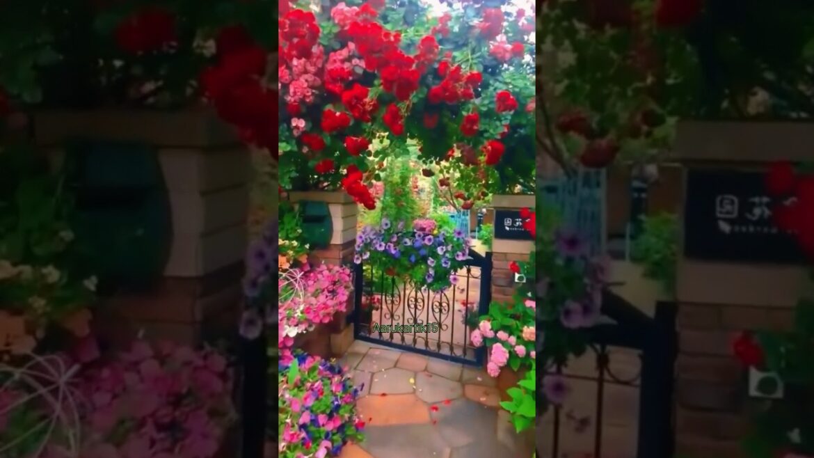 I Built a Garden Full of Beautiful Flowers🌼🏡#short#flowergarden #shorts