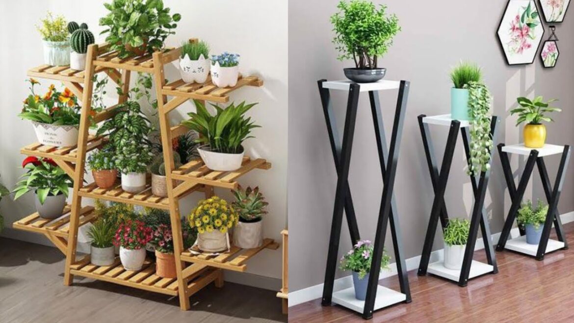 50 Best Different Indoor Plants Stans Style And Design For Balcony Terrace Living Room Decorations