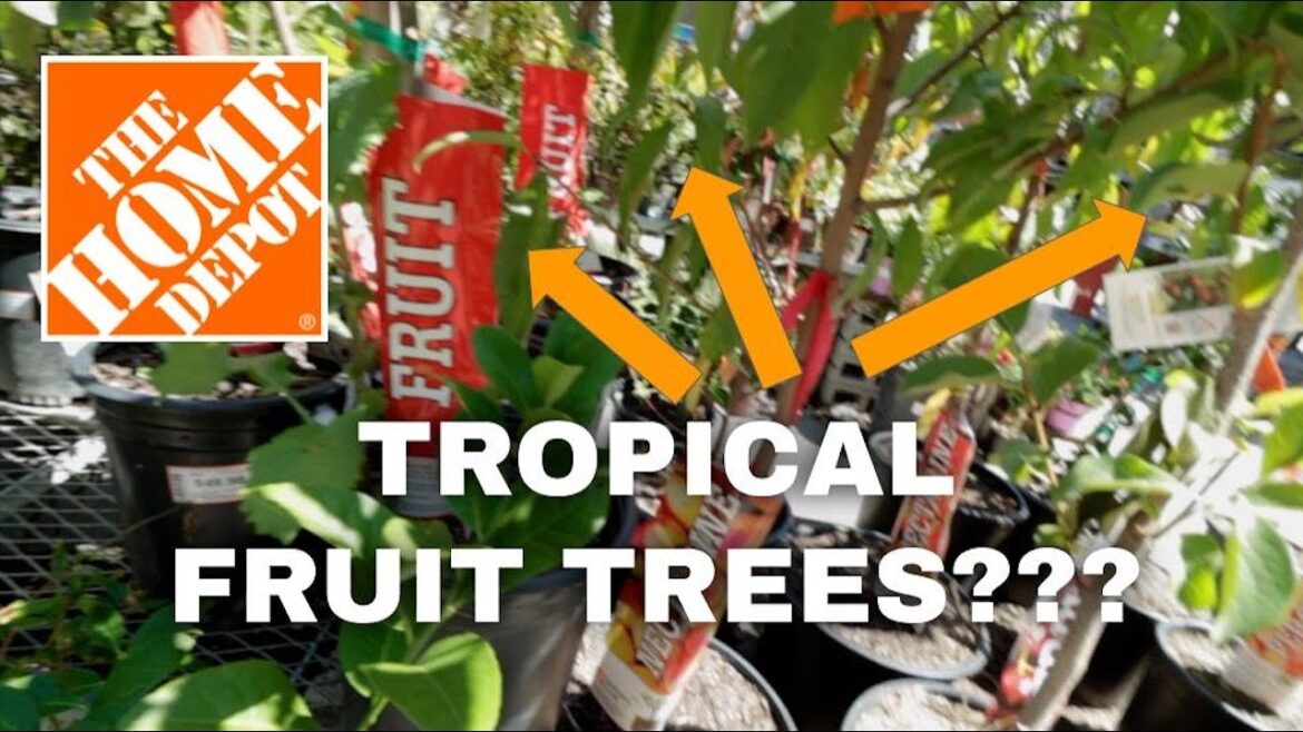 Fall Home Depot finds for small container gardens: shop organic soil, trellises + plants w/ me!