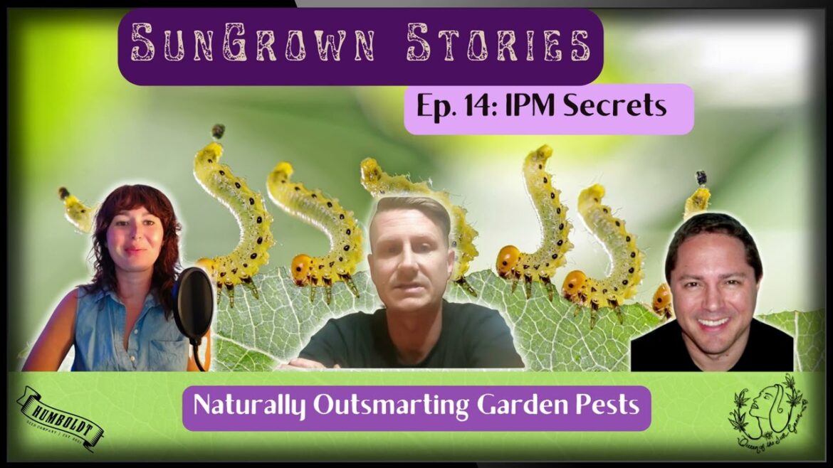 SGS S1 E14 – IPM Secrets with Brandon Rust & Organishield SGS S1 E14 - IPM Secrets with Brandon Rust & Organishield