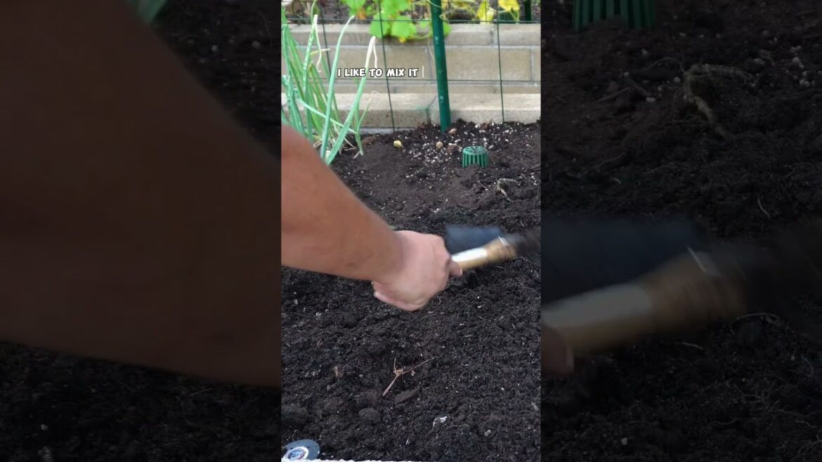 California Gardening: Fall Planting Guide: Spinach, Radish, Cabbage & More Cool-Season Vegetables! Fall Planting Guide: Spinach, Radish, Cabbage & More Cool-Season Vegetables!