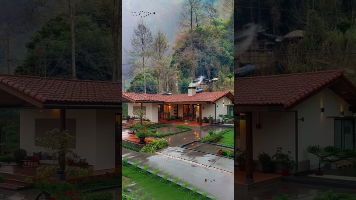 Amazing Ideas Beautiful Design#dreamhouse #houseplants 136