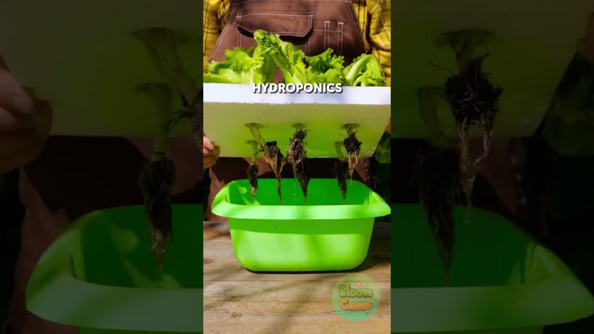 Ultimate Plant Hacks for Thriving Gardens! #CanIComeWithYou Ultimate Plant Hacks for Thriving Gardens! #CanIComeWithYou