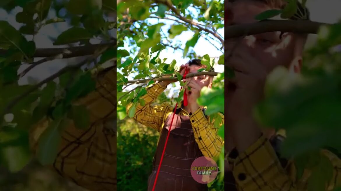 Gardening Hacks for Every Indoor Gardener! #mymonsters Gardening Hacks for Every Indoor Gardener! #mymonsters