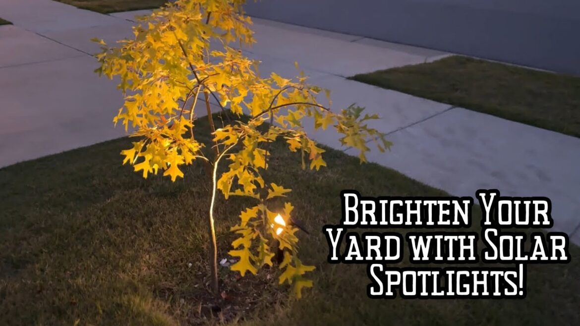 Waterproof Solar Spot Lights for Yard & Garden | 3 Modes, Adjustable & Long-Lasting! Waterproof Solar Spot Lights for Yard & Garden | 3 Modes, Adjustable & Long-Lasting!