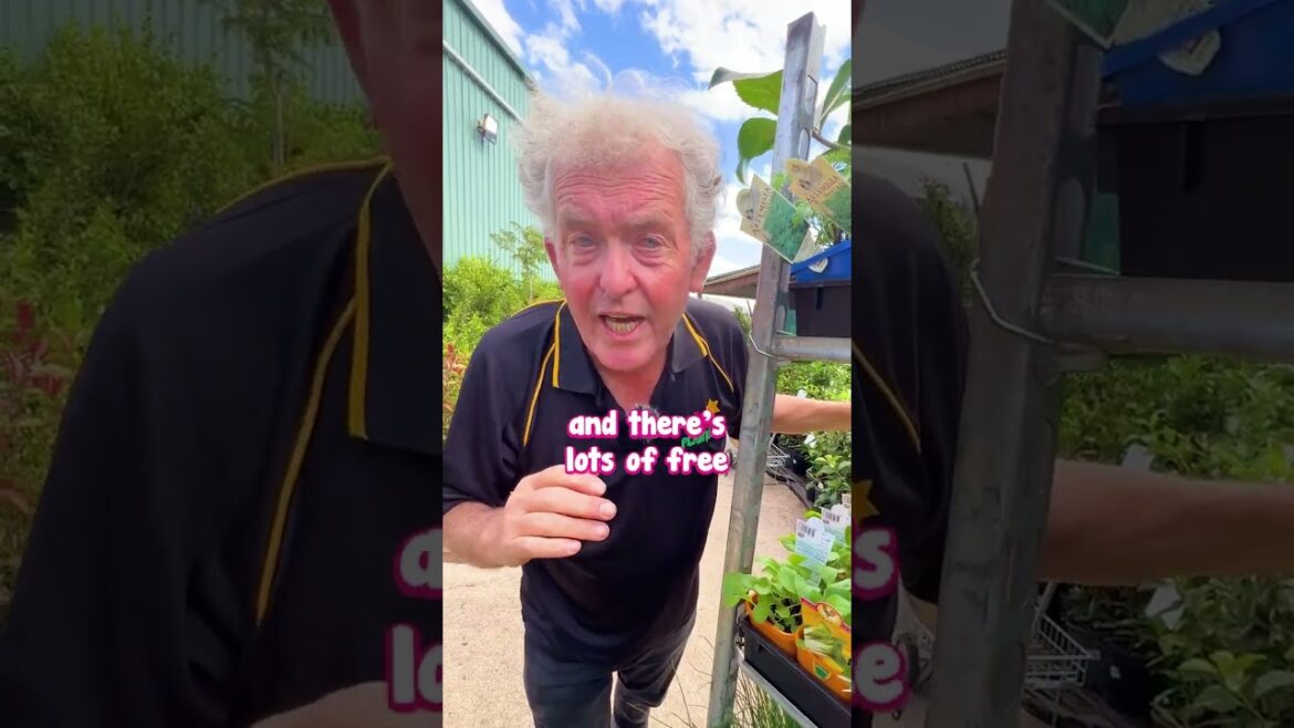 Easter Weekend Sale - Pallets and Pallets of Stock!!