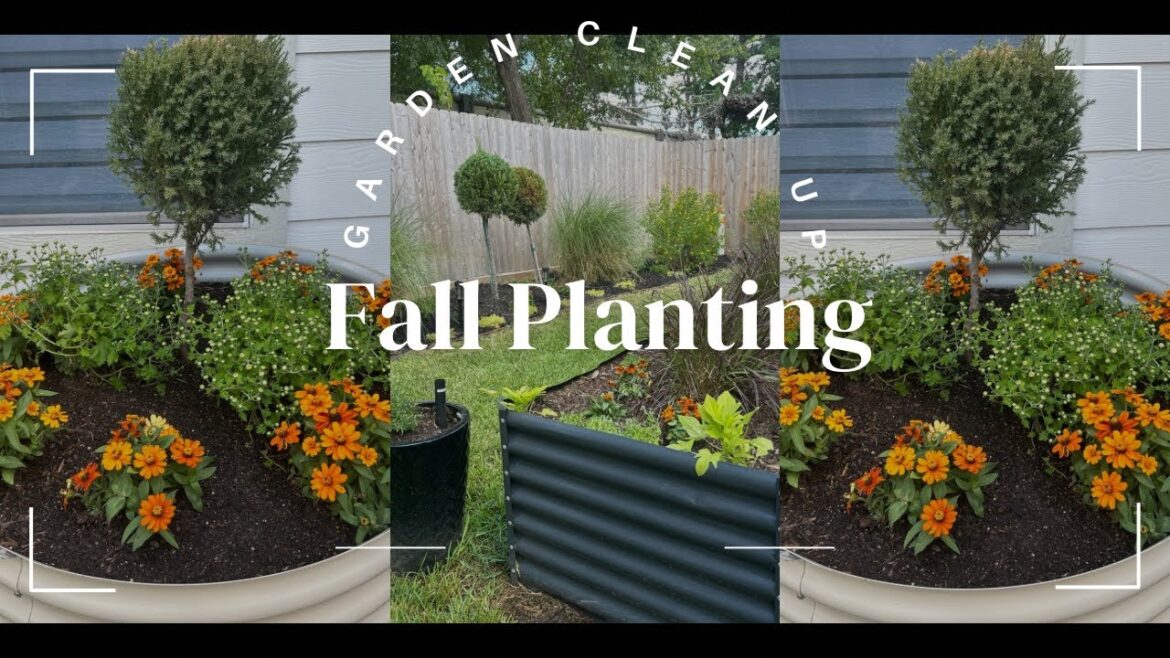 Fall Gardening|Planting|Adding Fall Color to My Garden