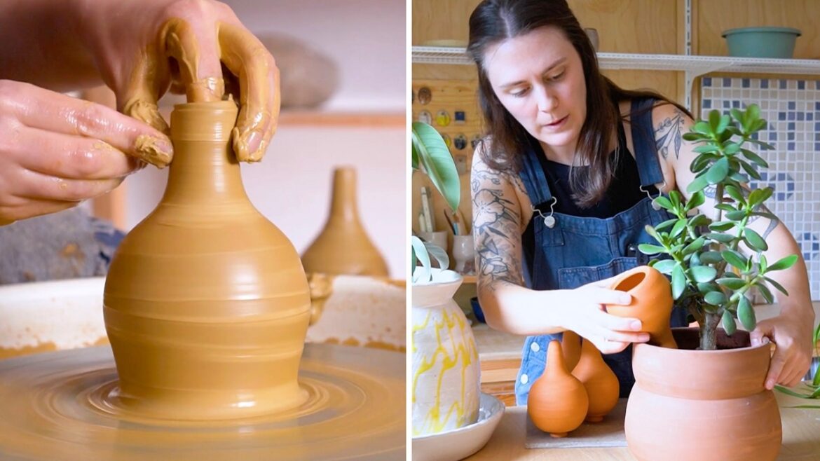 Will this save my houseplants? Will this save my houseplants?