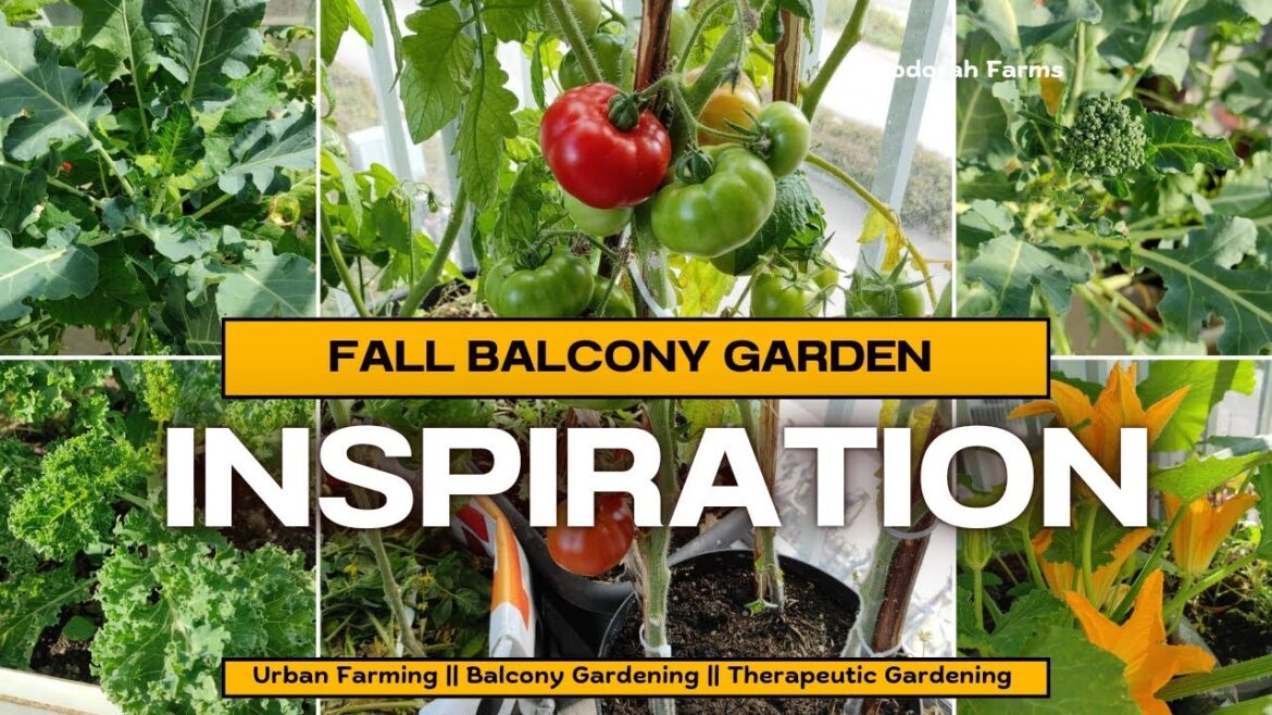 Container Gardening in a small apartment BALCONY #food #vegetables #life #balconygarden #farming