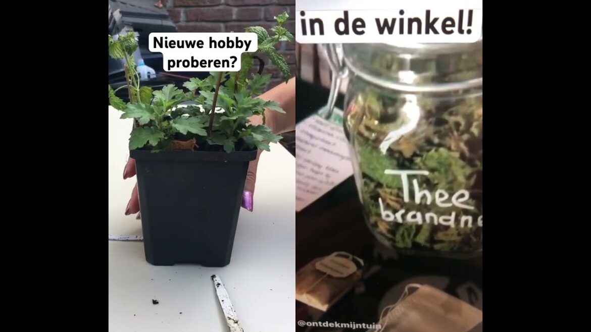 Growing together #garden