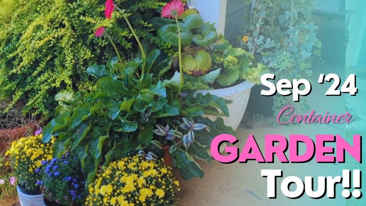 September '24 Container Garden Tour!! New Fall Containers! #gardentour