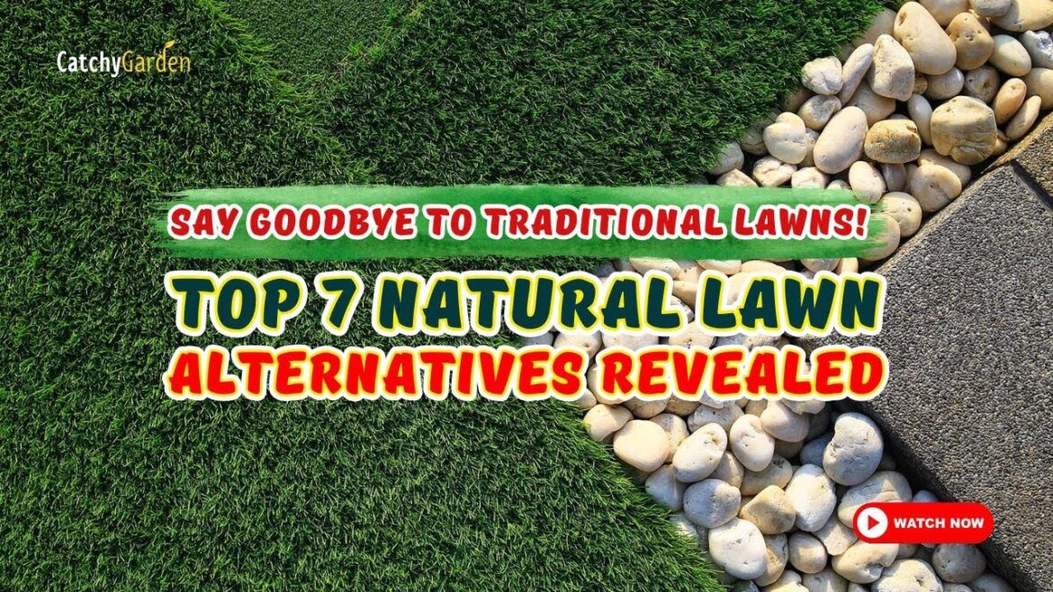 SAY GOODBYE to Traditional Lawns! π±πΌ 7 NATURAL Lawn Alternatives Revealed!πΏ // Gardening Ideas SAY GOODBYE to Traditional Lawns! π±πΌ 7 NATURAL Lawn Alternatives Revealed!πΏ // Gardening Ideas