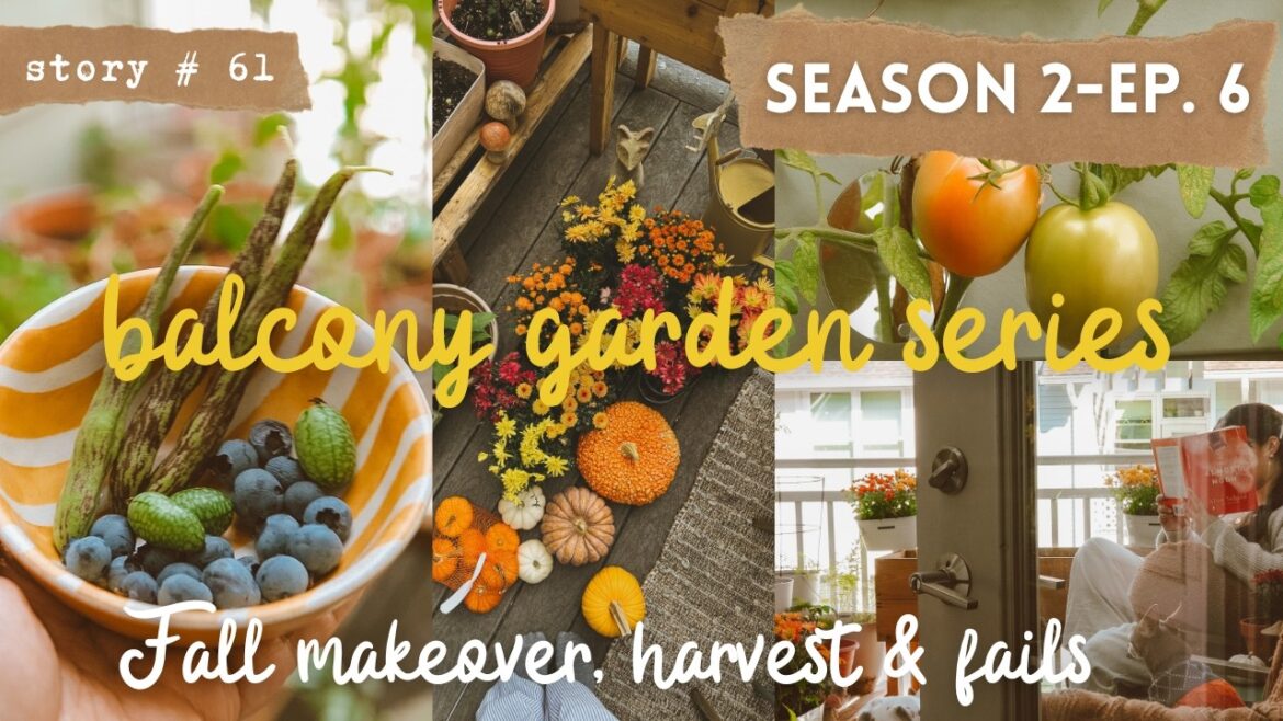π©π»βπΎ Autumn Balcony Garden π Harvest and Fails | Small Container Garden | Fall Gardening | S2 Part 6 π©π»βπΎ Autumn Balcony Garden π Harvest and Fails | Small Container Garden | Fall Gardening | S2 Part 6