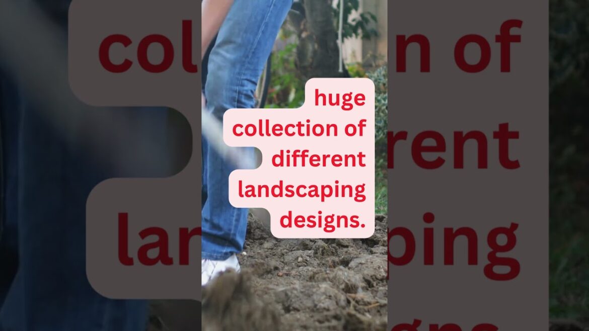 Desert Landscaping EXPERT Shares Top Plant Picks for a Stunning Yard