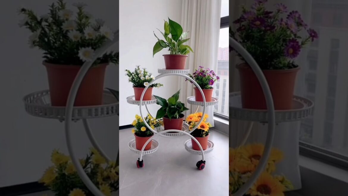 Elevate Your Plants’ Style with this Unique Plant Rack” #plants #rack #shorts #ytshorts Elevate Your Plants' Style with this Unique Plant Rack" #plants #rack #shorts #ytshorts