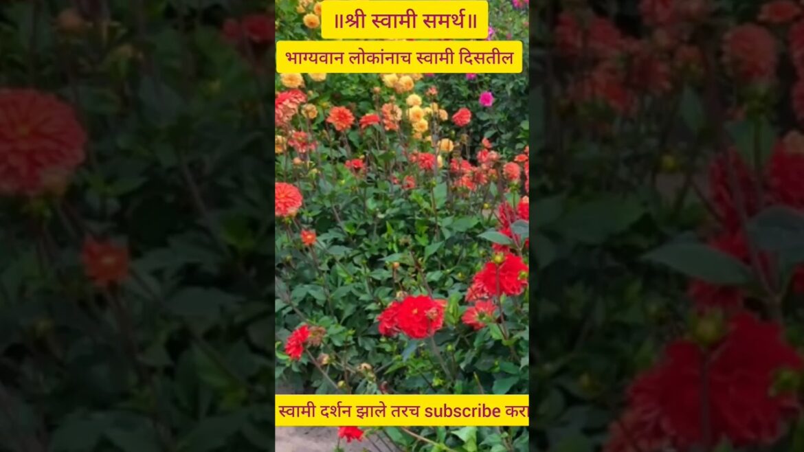 श्री स्वामी समर्थ 🙏🙏 #short’sfeed #trends#shree gurudevdatta #viralshort’s श्री स्वामी समर्थ 🙏🙏 #short'sfeed #trends#shree gurudevdatta #viralshort's