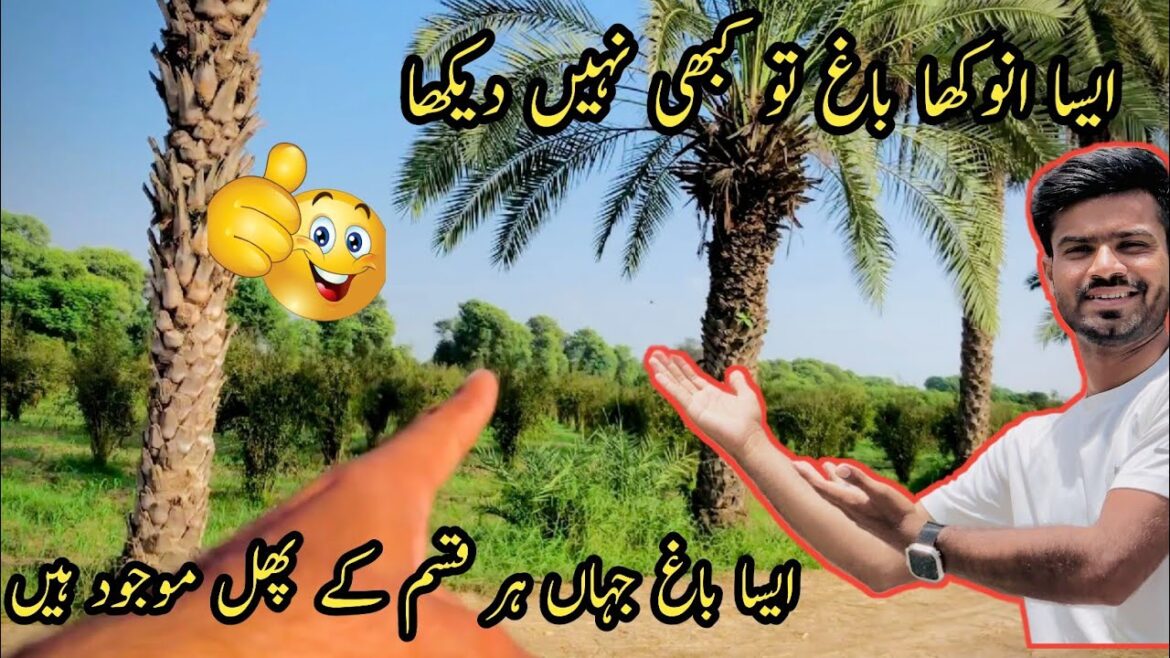 Aesa baagh jahan har Qisam k phal mojood hain | Boht hi Anokha Qisam ka bagh