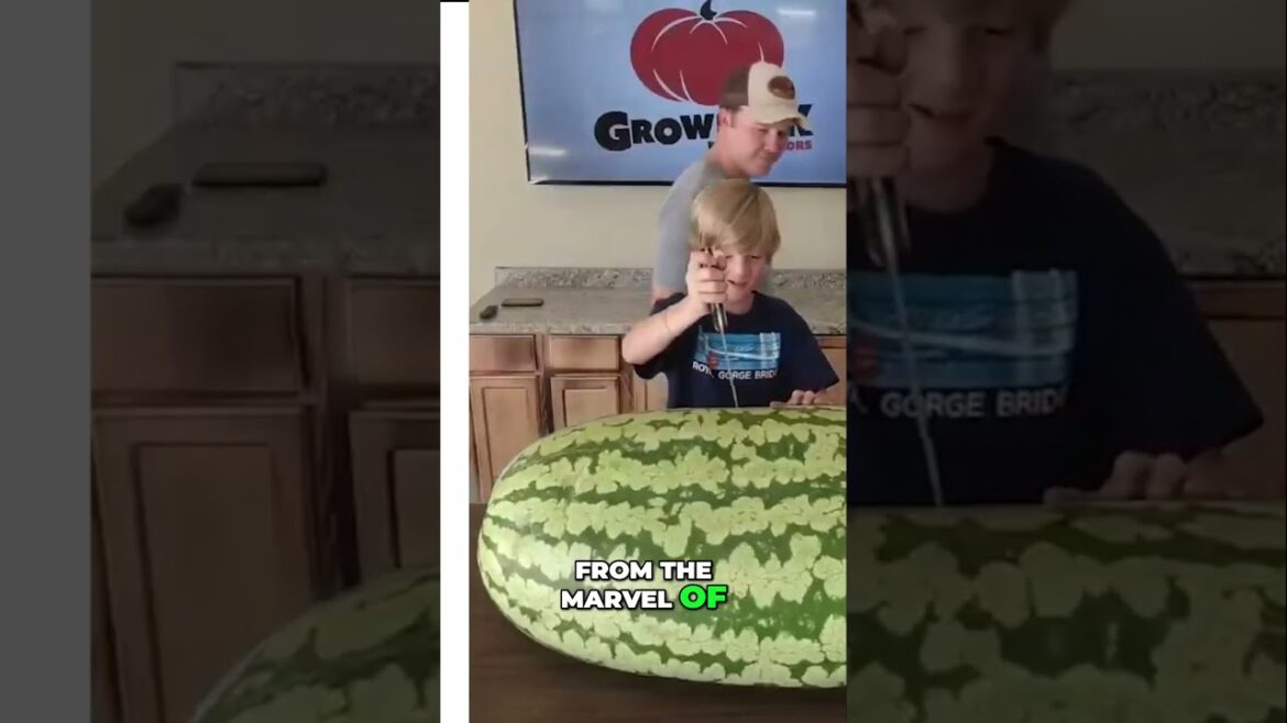 The Economics of Watermelon Farming  Strategies for Success