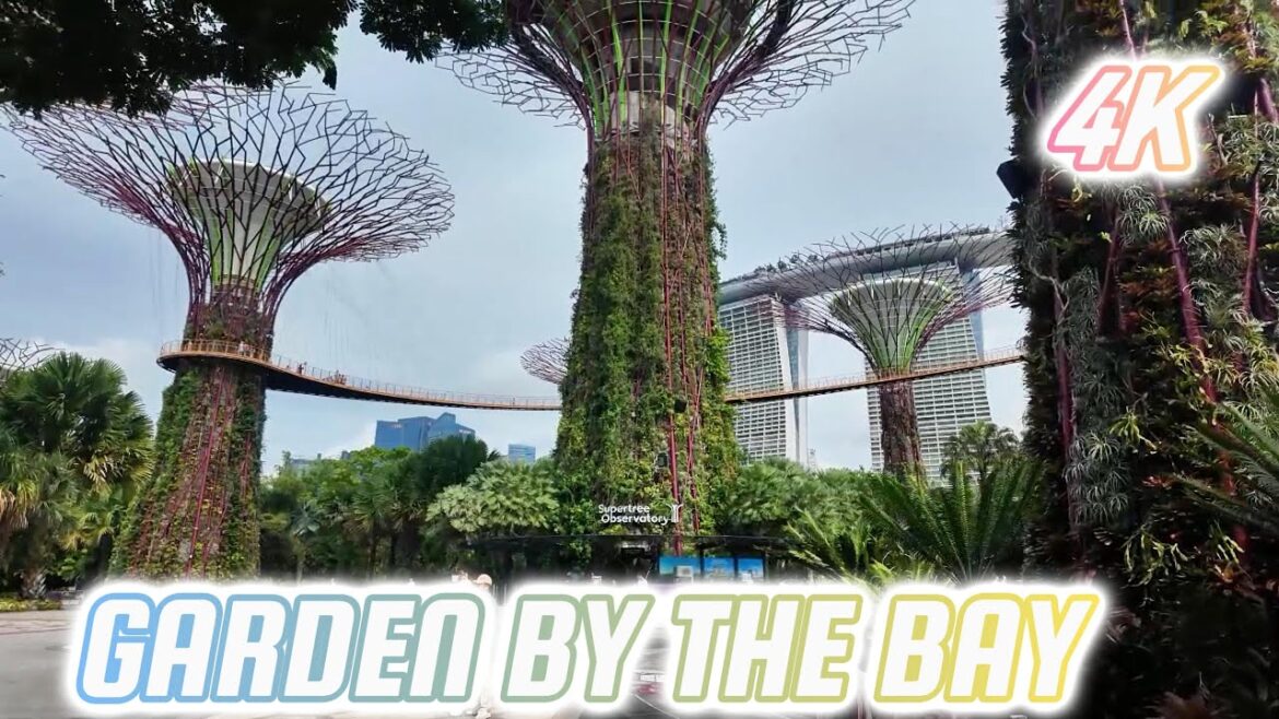 Exploring Singapore’s Futuristic Garden by the Bay! Exploring Singapore's Futuristic Garden by the Bay!