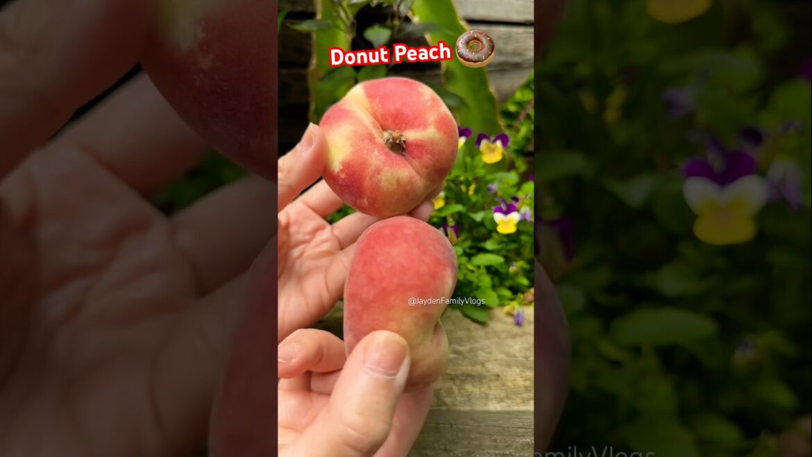 Donut Peach 🍩😱 #shorts #peach #satisfying #fruitcutting #fruit