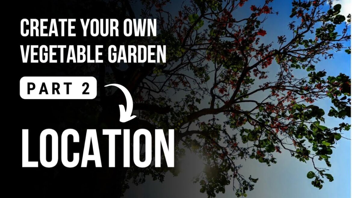 Creating a vegetable garden from scratch | Part 2 | LOCATION