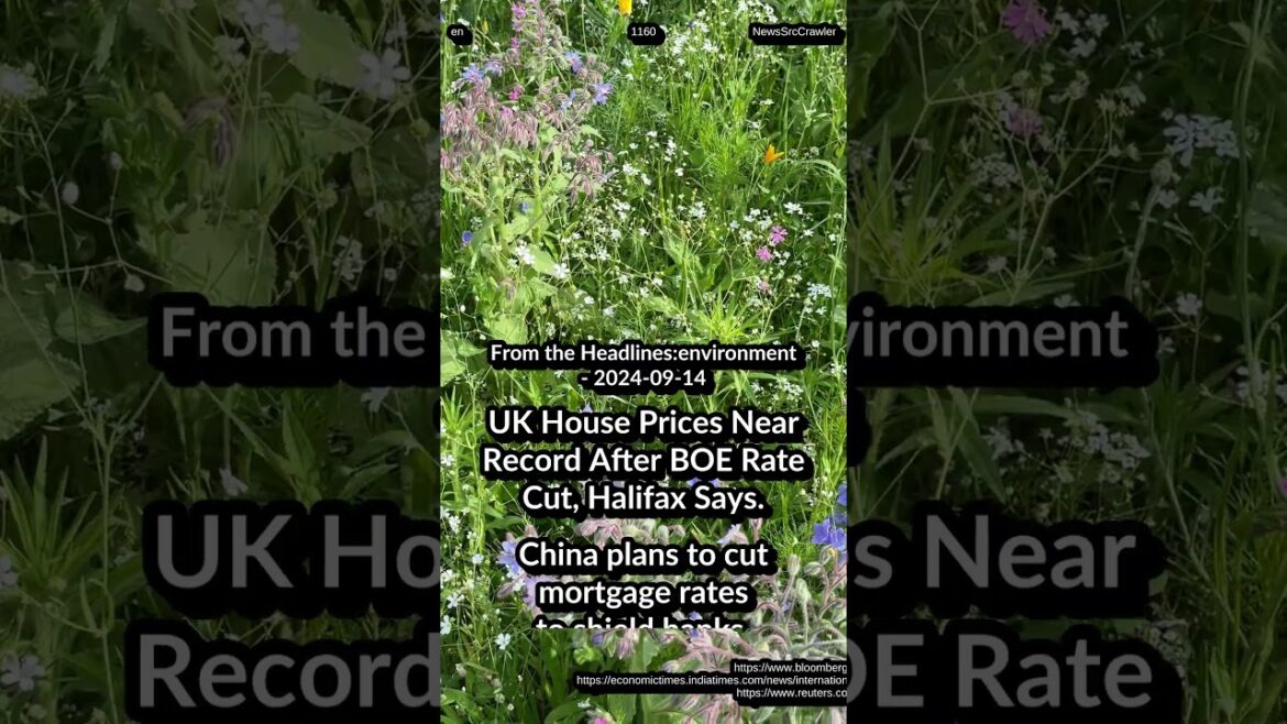 UK House Prices Near Record. China cut mortgage rates. Dutch migration clampdown, asylum crisis UK House Prices Near Record. China cut mortgage rates. Dutch migration clampdown, asylum crisis