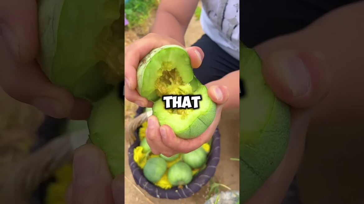 Mind Blowing Facts You Didn't Know!