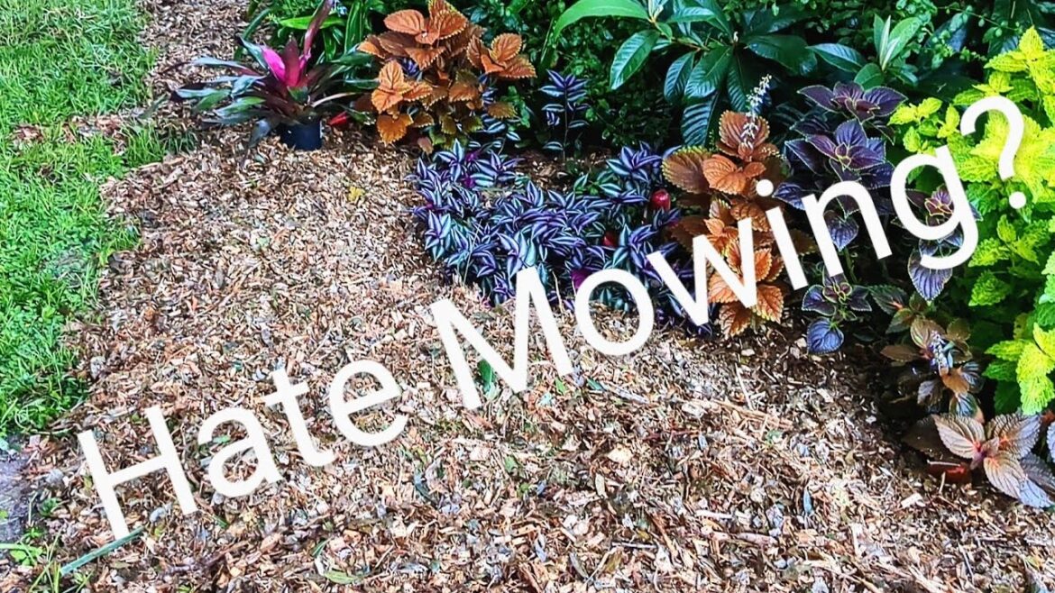 I Hate Mowing! -So I Did This Instead