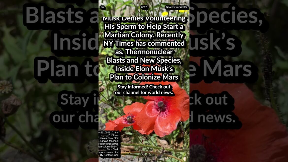 Cathie Wood Defends ARK’s Strategy. MicroStrategy 10 for 1 split. Musk denies NYT build city on Mars Cathie Wood Defends ARK’s Strategy. MicroStrategy 10 for 1 split. Musk denies NYT build city on Mars