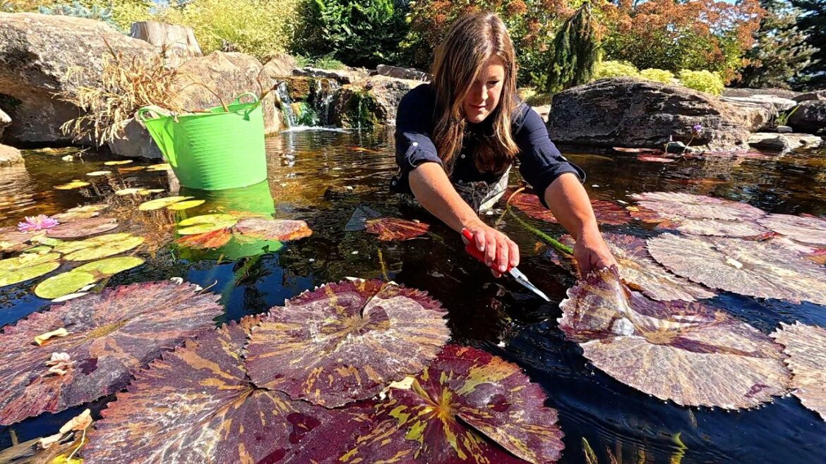 Pond & Hartley Cleanup to Get Ready for the Dream Stream + 3 Tree Installations! 💦🌲💪