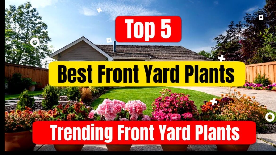 Best plants for front yard Gardening Best plants for front yard Gardening