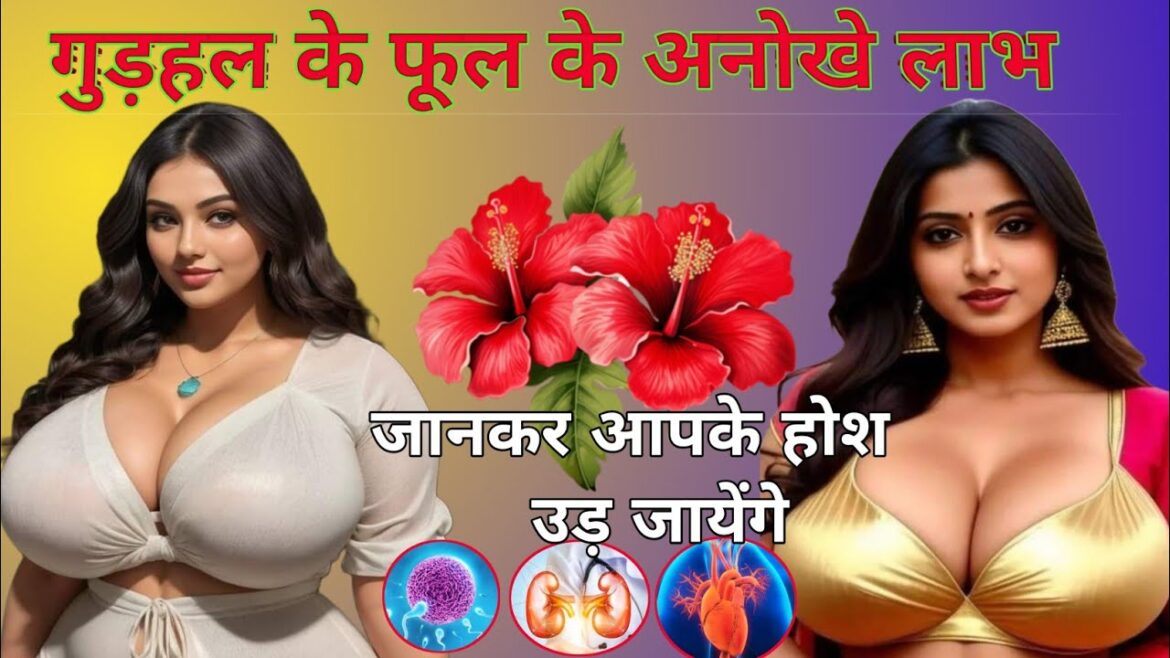 गुड़हल के फूल के फायदे जानकर हैरान रह जाएंगे।
