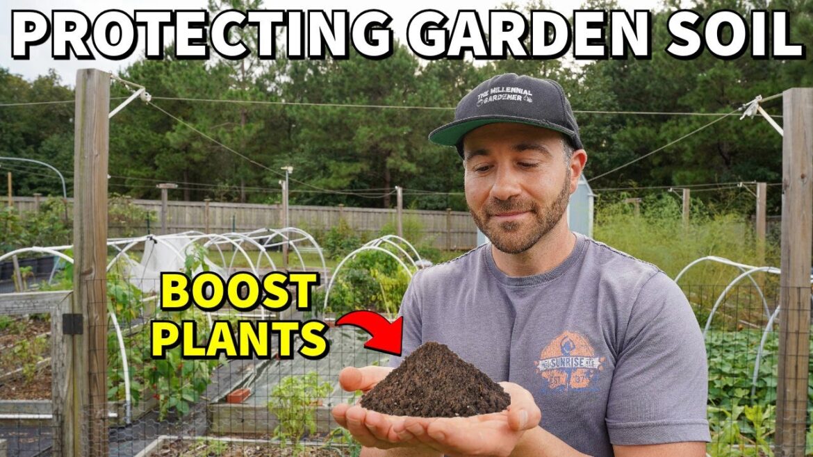 4 Easy Soil Covers That Protect Garden Soil When Not In Use