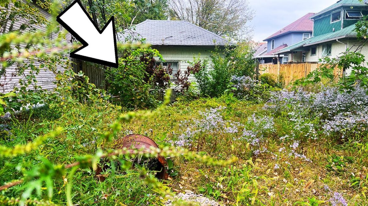 LADY saved HIS LIFE then he turned her in for this Overgrown yard LADY saved HIS LIFE then he turned her in for this Overgrown yard