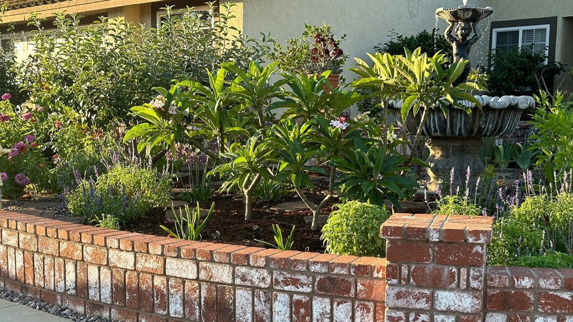 Front Yard Garden Tour and Making Applesauce