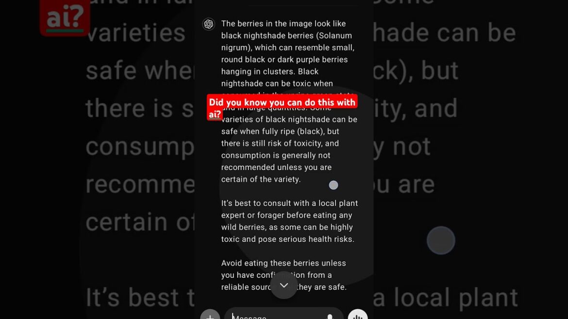 “Are These Berries Safe to Eat? Use artificial intelligence to find out! #shorts "Are These Berries Safe to Eat? Use artificial intelligence to find out! #shorts