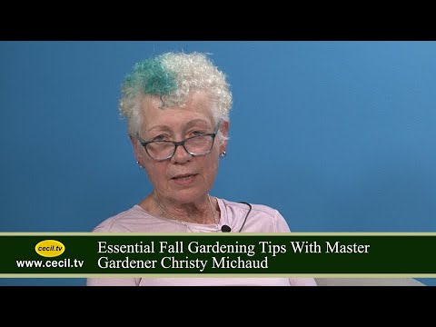 Essential Fall Gardening Tips With Master Gardener Christy Michaud Essential Fall Gardening Tips With Master Gardener Christy Michaud