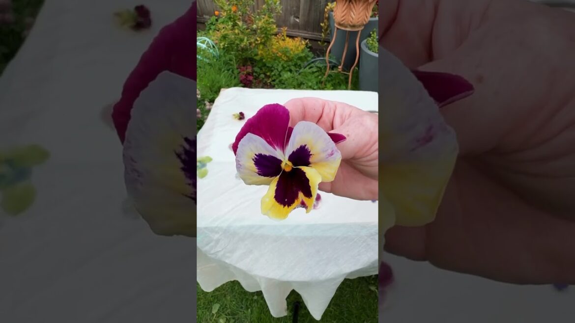 Eco-Printing: How to Hammer Flowers Onto Fabric Eco-Printing: How to Hammer Flowers Onto Fabric