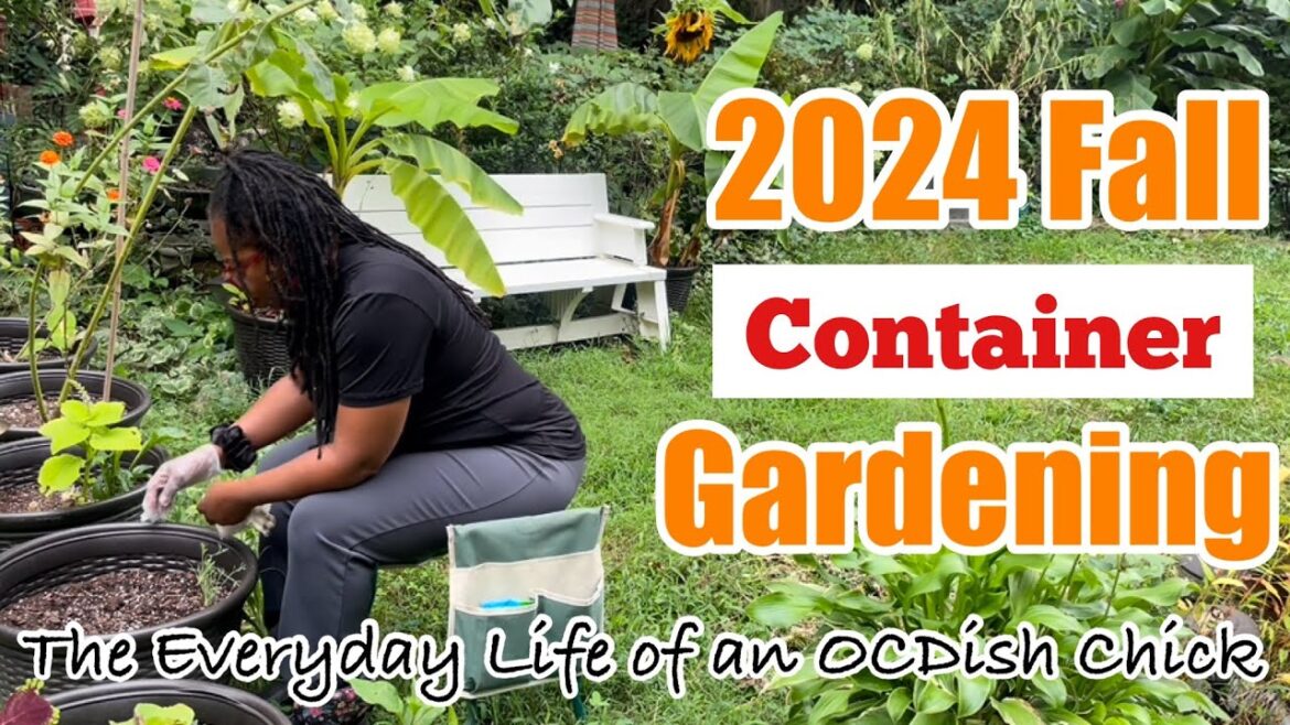 Fall Container Gardening, Harvest + More | Maryland Zone 7b #smallspacegardening #lettuce #snappea Fall Container Gardening, Harvest + More | Maryland Zone 7b #smallspacegardening #lettuce #snappea