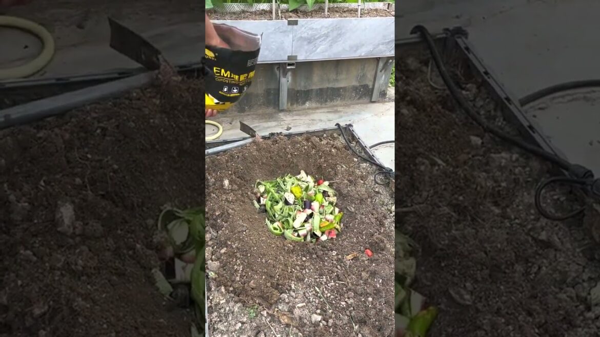 4133 🌶🥒🌸🍍🥜 #healthyfood #vegan #vegetable #harvest #claas