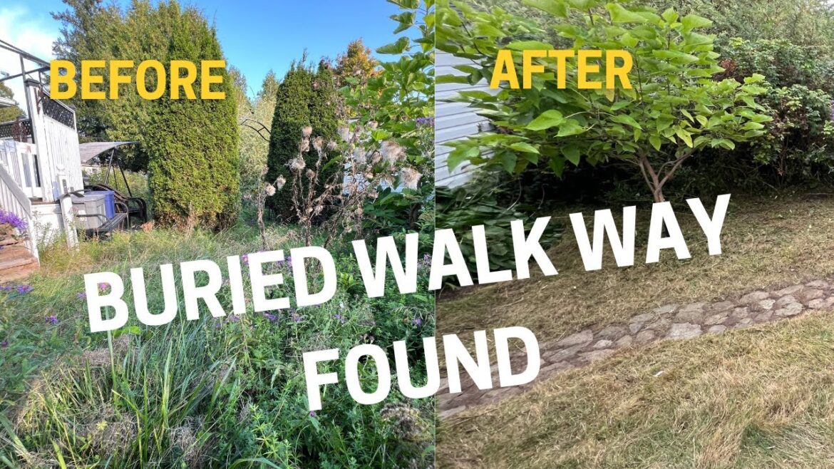 After HER MOTHER DIED, The LAWN Got OUT OF CONTROL - She Contacted Me for HELP And I Did It For FREE