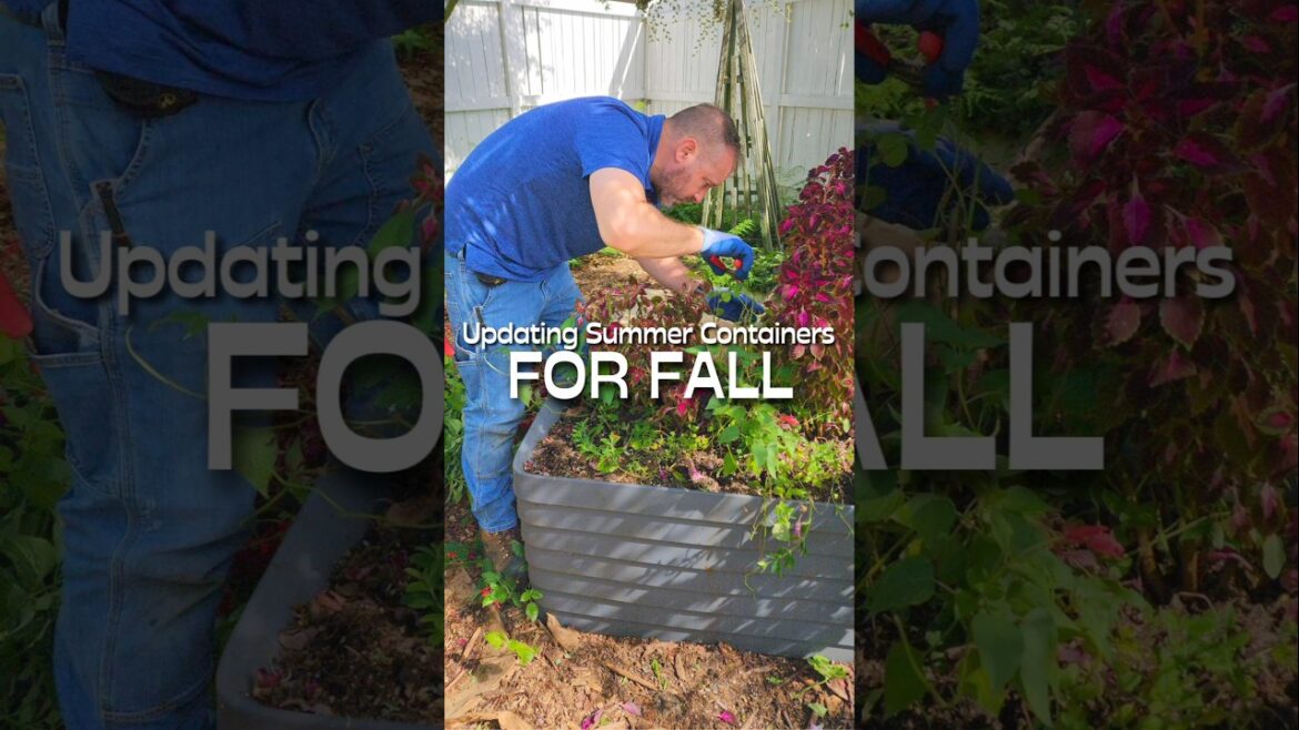 Great Fall Container Gardening Tips #shorts #containergardening #garden Great Fall Container Gardening Tips #shorts #containergardening #garden