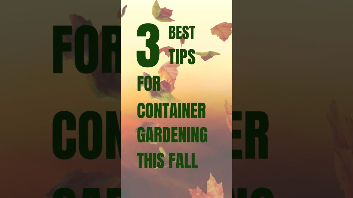 Best Tips For Container Gardening This Fall #containergarden #fallgarden