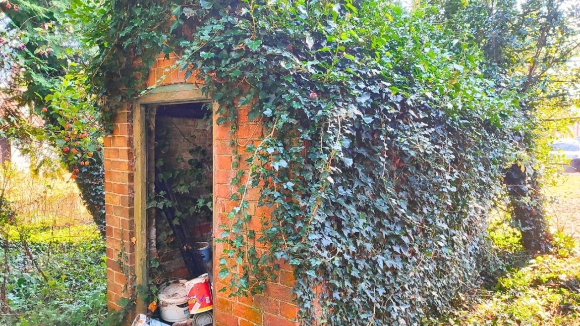 Restoring 370 Year Old Garden Alone – The Yard Restoration of The Century! Restoring 370 Year Old Garden Alone - The Yard Restoration of The Century!