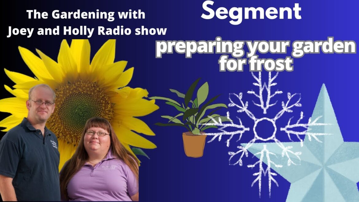 Seg 2 of S8E30 first frost garden prep The Gardening with Joey and Holly Radio Show Seg 2 of S8E30 first frost garden prep The Gardening with Joey and Holly Radio Show