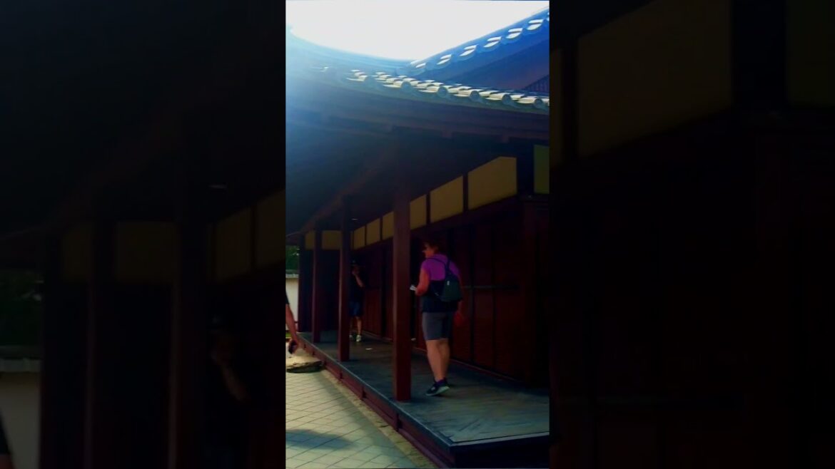 Hamilton Gardens Japanese Garden of Contemplation #shorts #newzealandtourism #newzealandlife